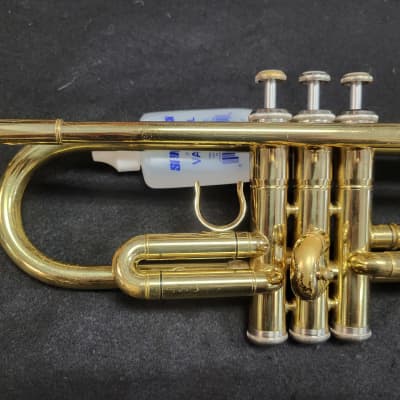 Etude V1212085 student Trumpet light brass image 4