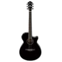 Ibanez AEG10II - Black Acoustic Guitar