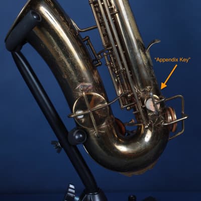 Buescher New Aristocrat Alto Saxophone 1933 / The Classic image 13