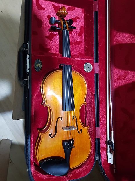 Stentor amati cheap