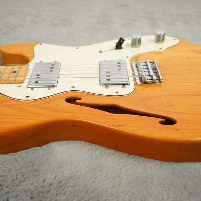 1973 Fender Telecaster Thinline + HSC image 5