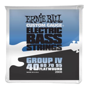 Ernie Ball 2808 Flatwound Group IV Electric Bass Strings (40-95)