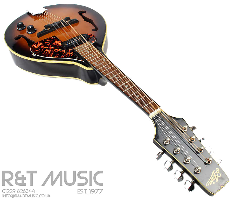 弦楽器 ARIA FlatMandolin AM-200E Aria Flatmandolin Am-200E | eBay
