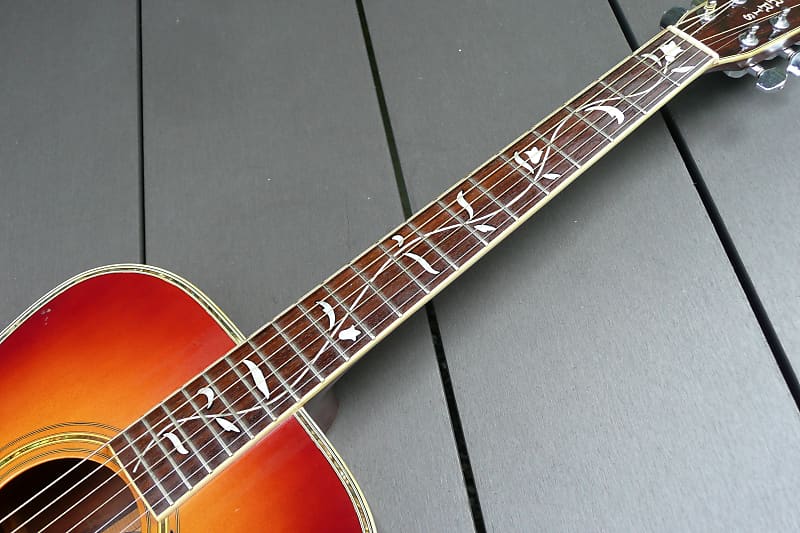 Morris LF-5 Jakaranda 