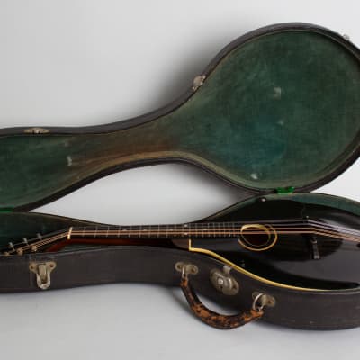 Gibson  Style A Snakehead Carved Top Mandolin (1925), ser. #78022, original black hard shell case. image 10