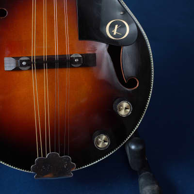 Kay 395 Electric Mandolin 1960s / Anyone for Venice? image 6