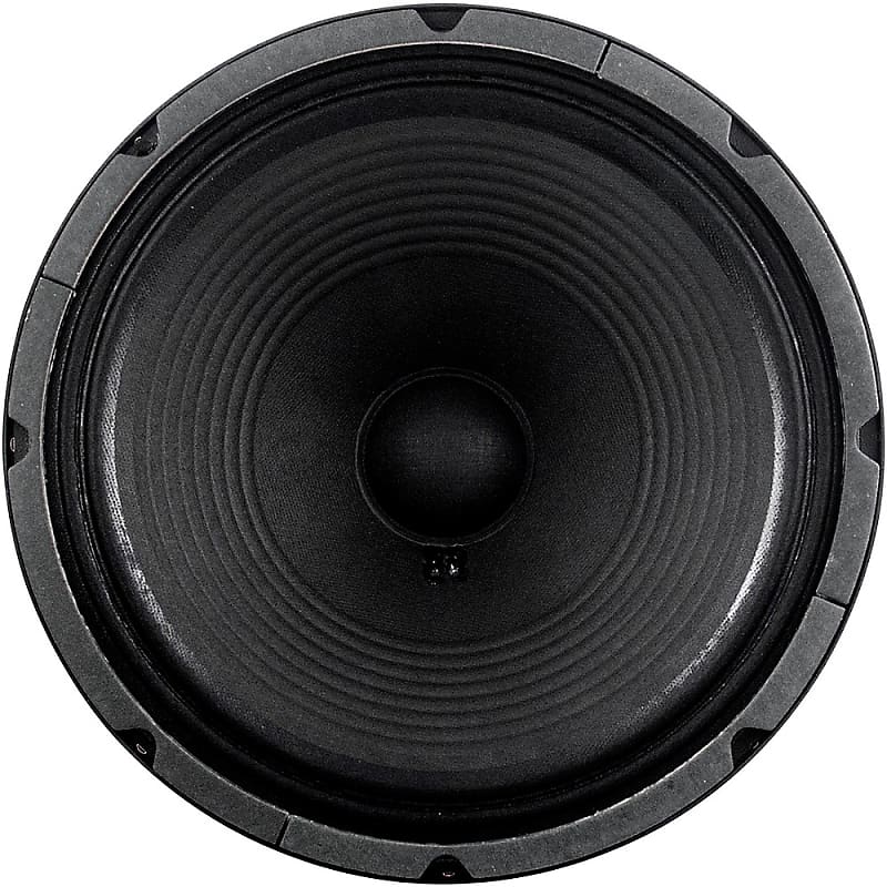 100 watt best sale 12 inch speaker