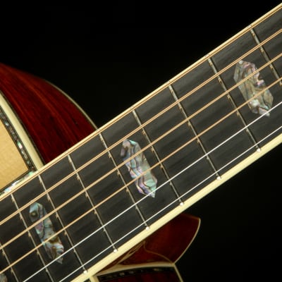 Martin Custom Shop D-45 VTS Adirondack Spruce & Cocobolo image 10