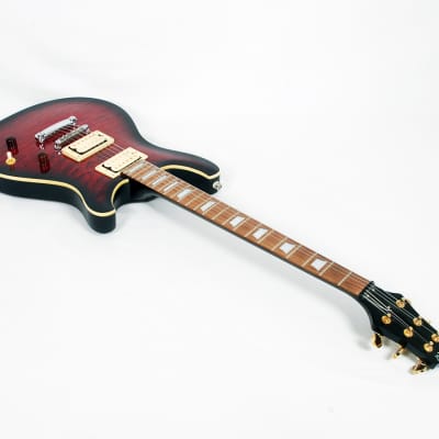 Raven Guitars ( pre Raven West ) PRS Style Solid Body @ LA Guitar sales image 1