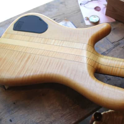 WARWICK "Streamer Stage I - Handcrafted in Germany 2012" HARDCASE, 4, 03 KG image 16