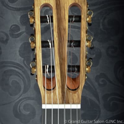 Raimundo Tatyana Ryzhkova Signature model, Cedar top  classical guitar image 9