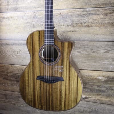 Mayson Acoustic Guitar MS3/OCE2