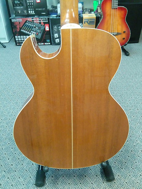 Alvarez Silver anniversary 12 String Model# 255512 | Reverb
