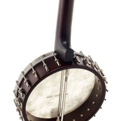Recording King OT25-BR "Madison" Open Back Banjo, Scooped Fretboard. New with Full Warranty! image 11