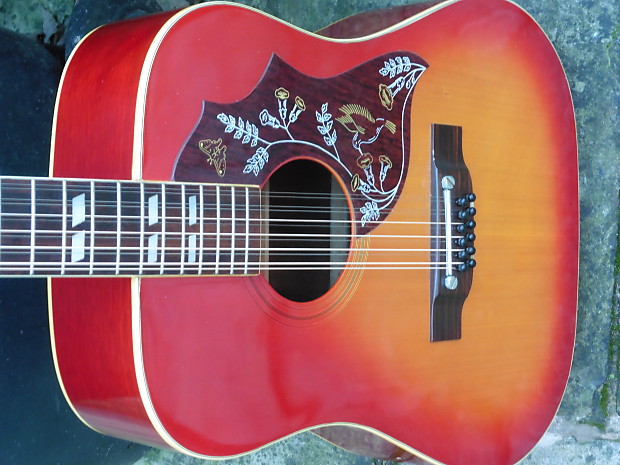 Ibanez hummingbird outlet 12 string
