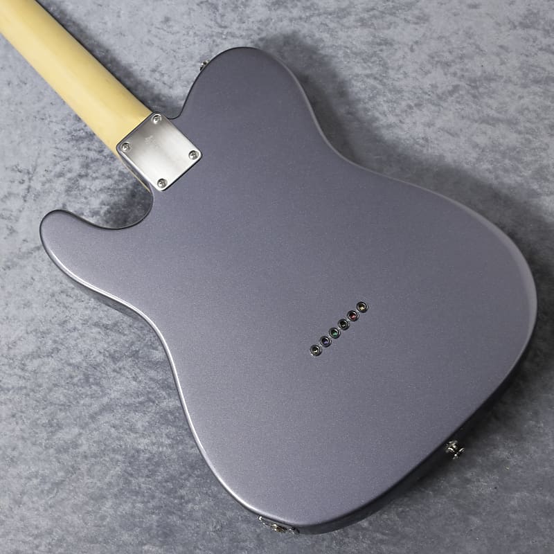 フジゲン NTE10RAL CC Charcoal Neo Classic FUJIGEN 【特別カラー】FGN フジゲン NTE100RAL CC Charcoal Neo