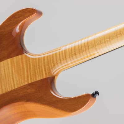 Marchione Neck-Through Carve Top Figured Maple African Mahogany H/S/H - Clear Natural image 13