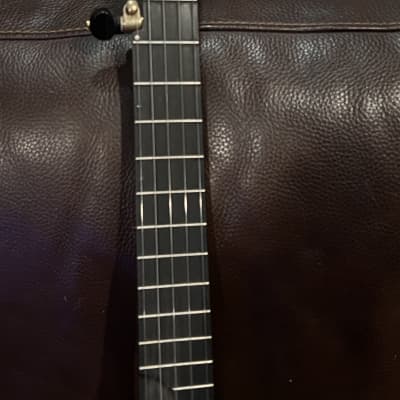 Zachary Hoyt, open back, 12",  5 string banjo, Luthier made image 6