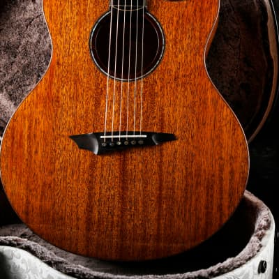 Avian Songbird 2A Natural All-solid Handcrafted African Mahogany Acoustic Guitar imagen 11