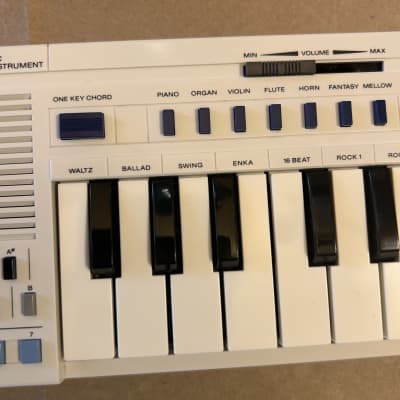 女の子向けプレゼント集結 29-Key PT-20 Casio Mini Reverb | Synthesizer 鍵盤楽器