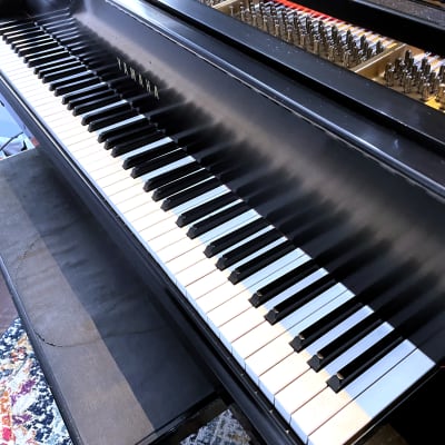 Yamaha C7 Grand Piano - Concert Grand Piano image 5
