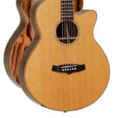 レア　不思議な日本製　８０年代　Terada　エレアコ　Washburn? 1990's made Tornado by MORRIS Z-2 Electric Acoustic Guitar