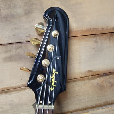 Epiphone Rex Brown Thunderbird Bass - Ebony w/ Hard Case image 10