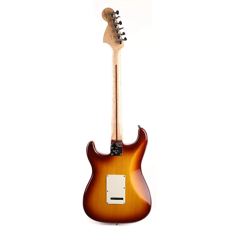 Fender Custom Shop Stratocaster Pro NOS  image 3