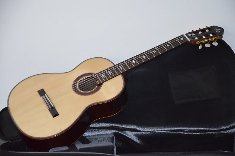 Plastic body store acoustic guitar