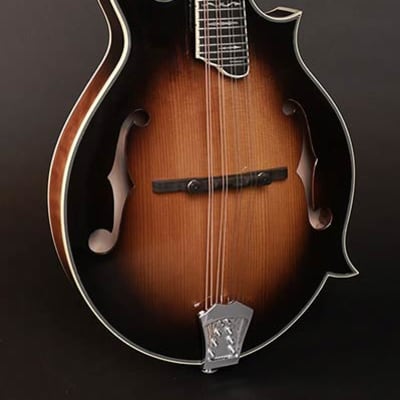 Richwood All Solid Master Series RMF-100-VS F-style mandolin with solid maple bo image 1