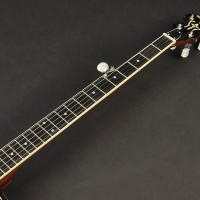 Richwood RMB-605 Bluegrass Banjo image 6
