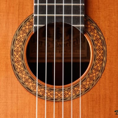 1995 Paris Banchetti Concert Classical, Brazilian Rosewood/Cedar image 19