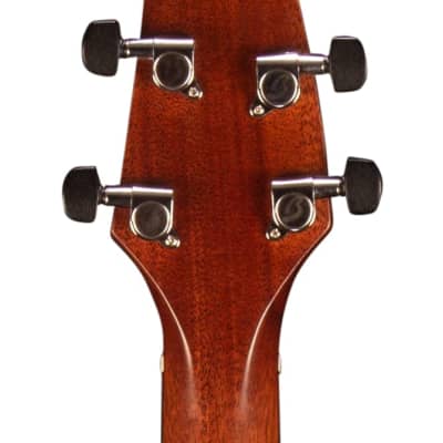 Breedlove Wildwood Concert Satin CE African Mahogany-African Mahogany, Acoustic-Electric image 9