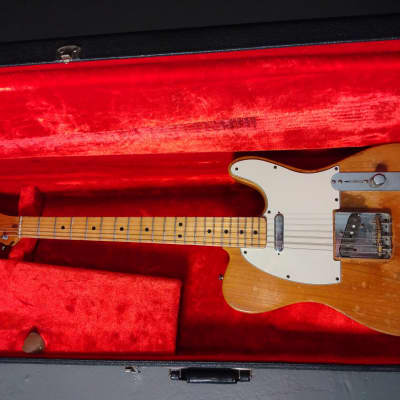 Fender Telecaster (1976 - 1979) | Reverb Canada