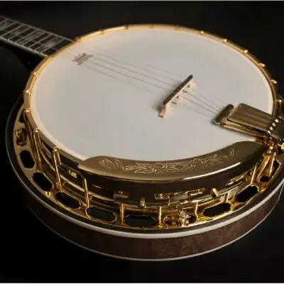 Washburn B17 Americana Series (5 String) Banjo. Tobacco Sunburst image 5
