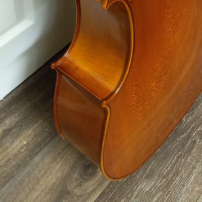 Eastman VC100 4/4 Cello 2008-Amber image 12