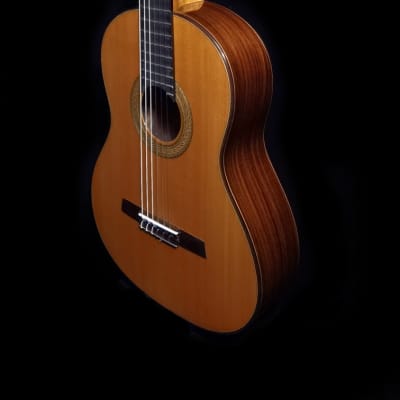 Luthier Built Concert Classical Guitar - Cedar & Indian Rosewood for sale