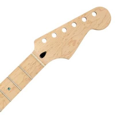 Mighty Mite MM2925-B Fender Licensed Strat® Birdseye Maple Replacement Neck - C Profile 22 Jumbo Frets for sale