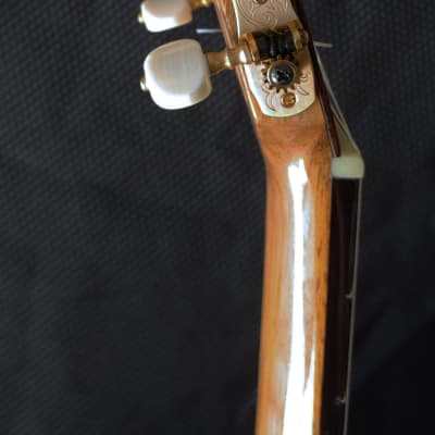 2022 Darren Hippner Indian Rosewood Domingo Esteso Model Classical Guitar image 11