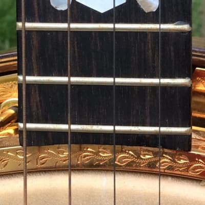 Windsor  Supremus Deluxe Tenor Banjo image 3