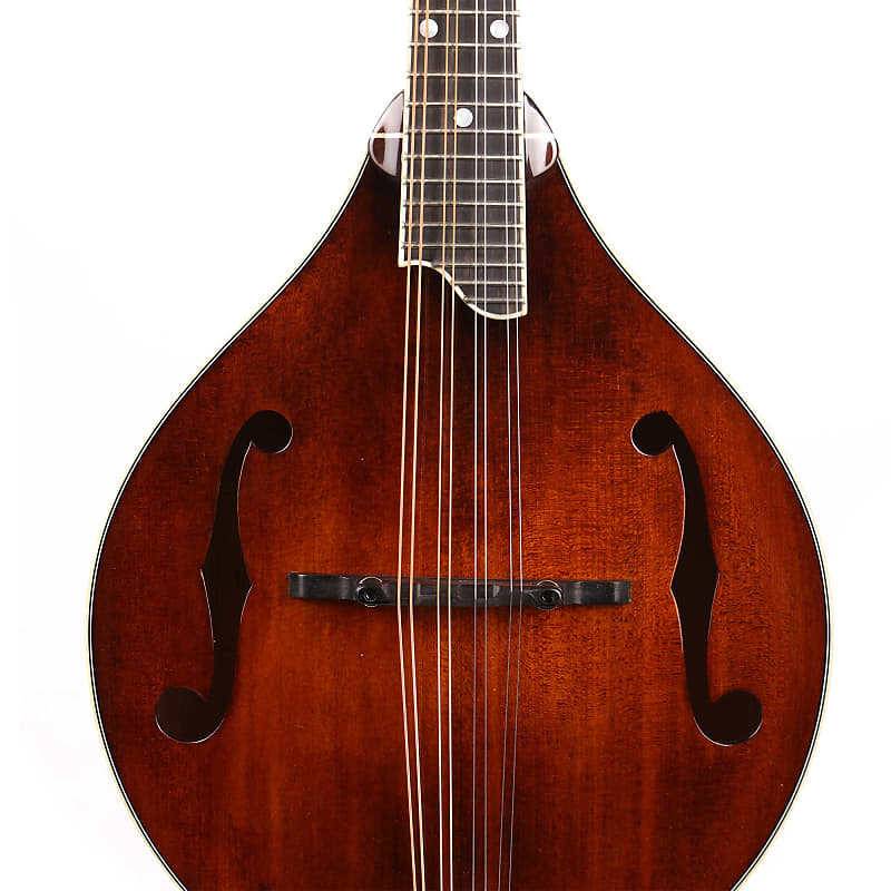 Eastman MD-505/A.Red フラットマンドリン メンテナンス前提で Eastman MD-505/A.Red フラットマンドリン メンテナンス前提で