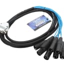 Elite Core 10' D-Sub Breakout Cable 25-pin to 8 XLR male
