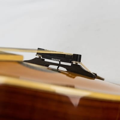 David Oddy A Style Mandolin, Electro - natural image 4