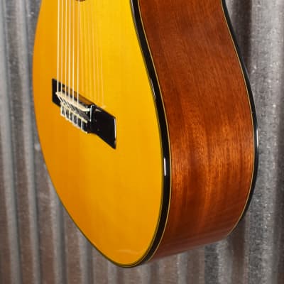Washburn Guitars C40 Classical Nylon String Guitar & Bag #0087 image 6
