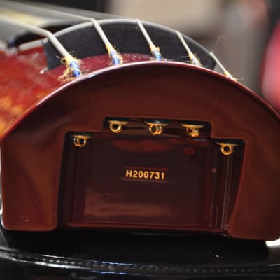 NS Design WAV5c Double Bass Trans Red image 18