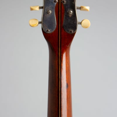 Wm. Stahl Flat back, bent top Mandola made by Larson Brothers c. 1925 natural top, faux rosewood bac image 6