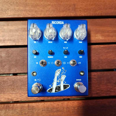 ギター AC Noises Ricorda AC noises RICORDA