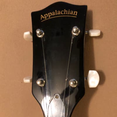 Appalachian 5 String Banjo image 3