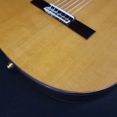 Alhambra 5P CT E2 Thinline Acoustic Electric Classical Nylon String Guitar w/Bag image 7