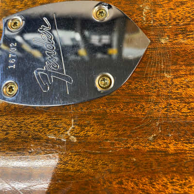 Fender Shenandoah 12 String 1965 Natural image 16